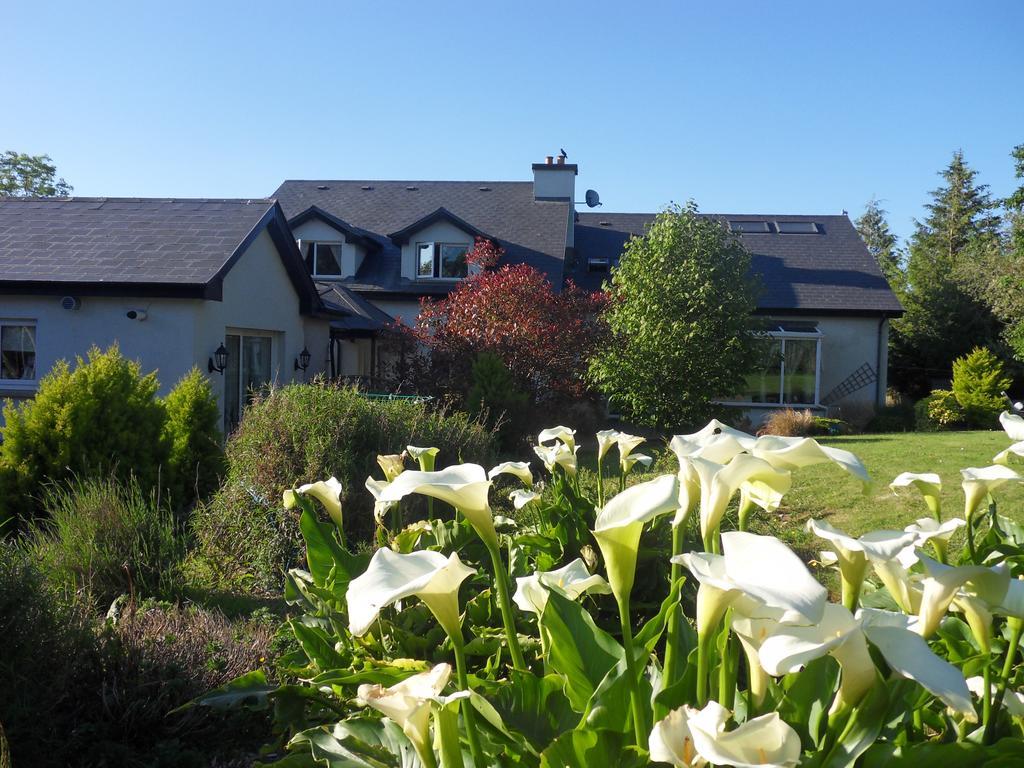 Ethan House Holiday Suites Killarney Extérieur photo