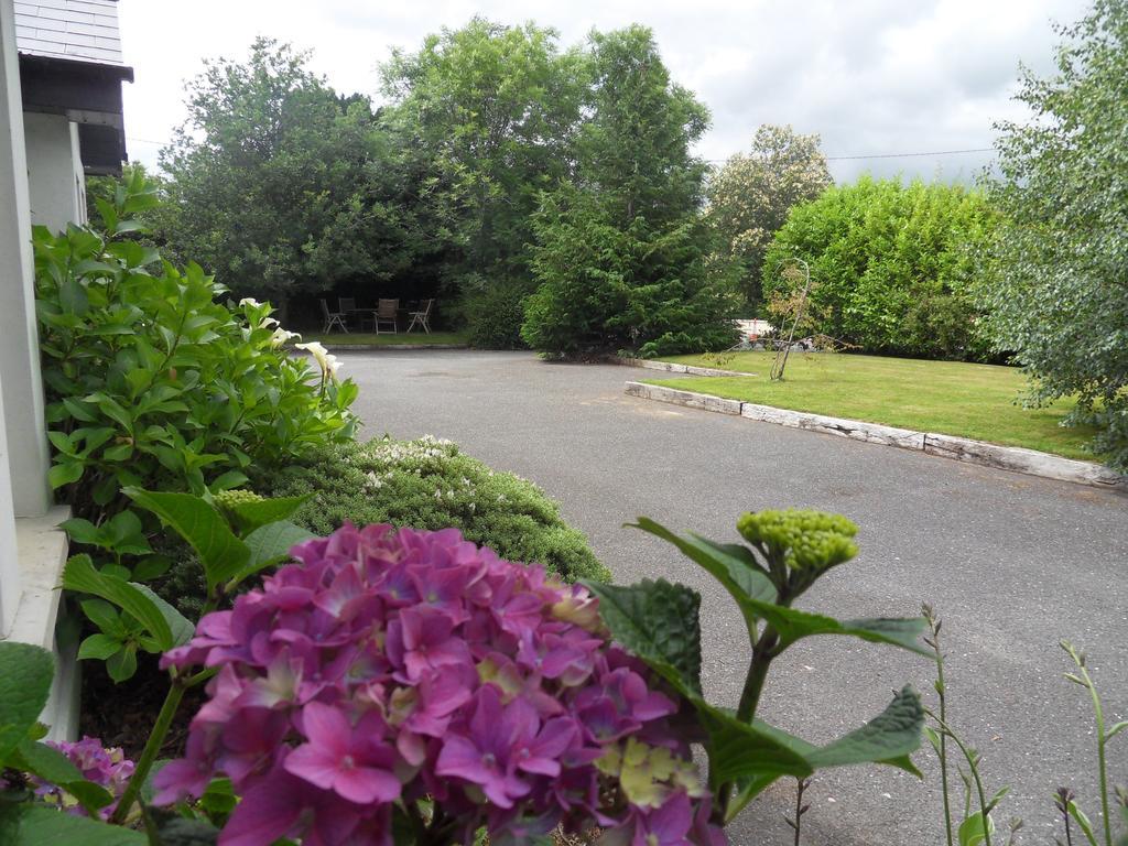 Ethan House Holiday Suites Killarney Extérieur photo